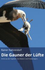 Rainer Nahrendorf: Die Gauner der Lüfte